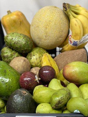 We have fresh Tropical Fruit for your health! Tenemos Frutas Fresca Tropicales para tu salud!