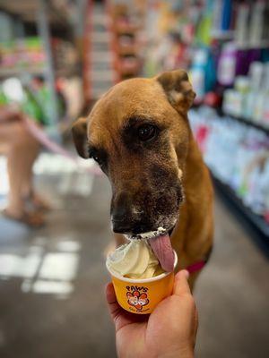 Ice Cream Time!