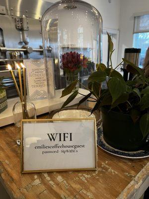 Wifi Password