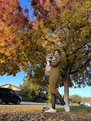 Nice photo shoot spot during the early fall autumn days  (sorry I'm not photogenic enough lol)