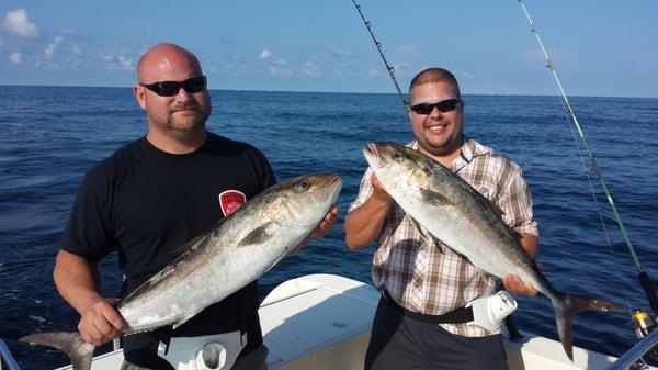 A local name for these Amberjacks is "Reef Donkeys"!