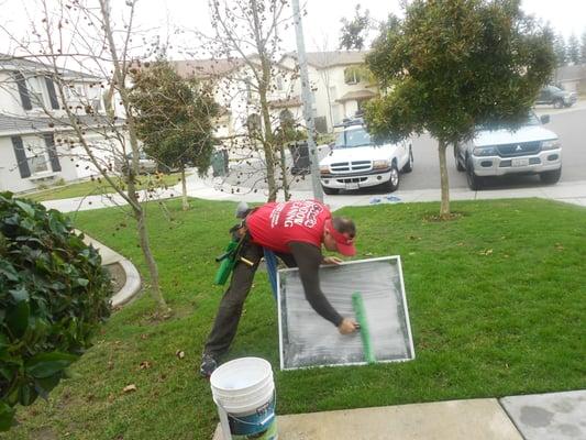 All screens are hand washed with every window cleaning.