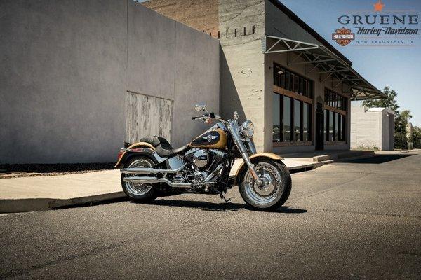 Gruene Harley-Davidson