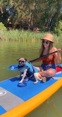 SUP with my pup! The water really is this green tho...