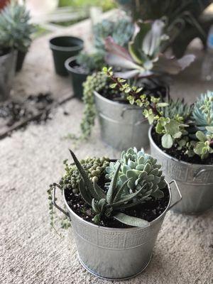 Succulent pots!