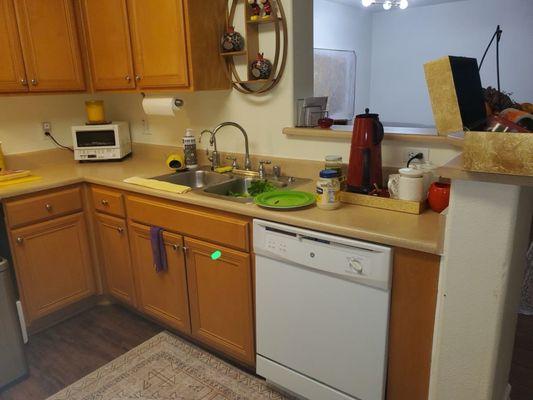 This photo shows the old sink and countertop before the kitchen renovation.