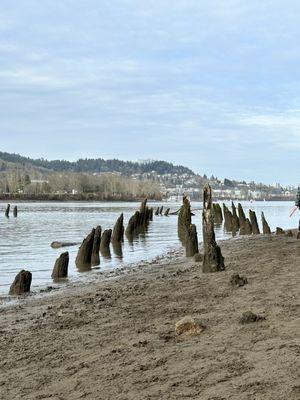 Sellwood Park