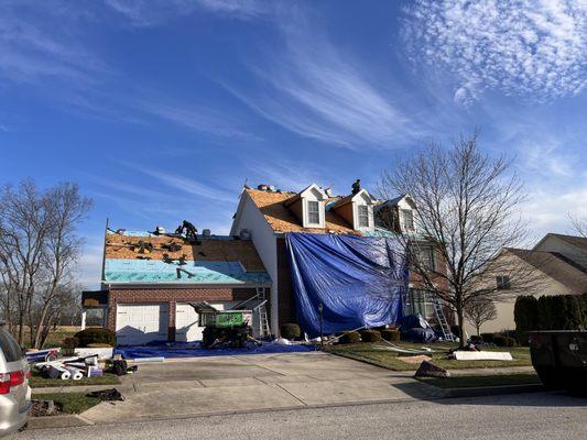 New Roof in progress.