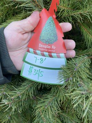 These are the price tags from two trees on your farm. As you can see, they are 7-8 foot Douglas Fir, which is the cheapest tree type.