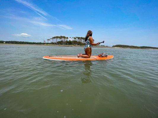 Paddle board tour in North Myrtle Beach