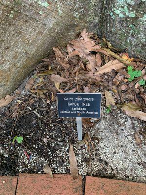 Fort Lauderdale Garden Club