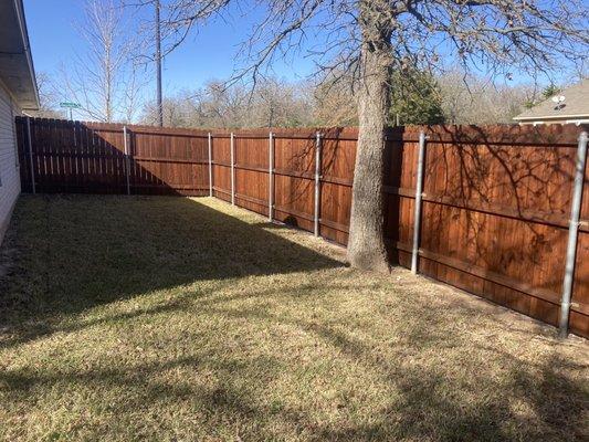 Fence stain and restoration saves you money and keeps your house looking great!