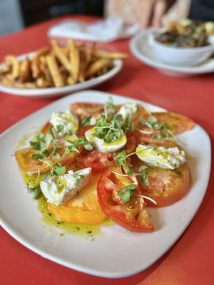 Tomato and burrata salad