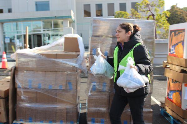 Volunteer at Daly City Partnership grocery distribution