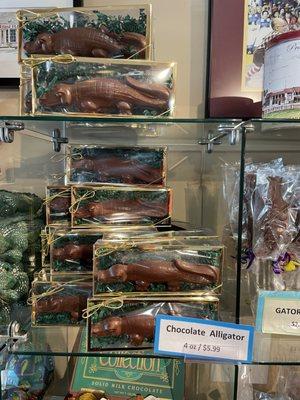 Chocolate Alligators - Two Sizes