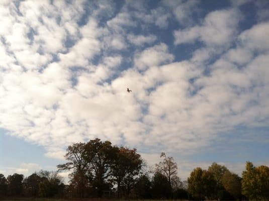 That is the Remote Control Airplane