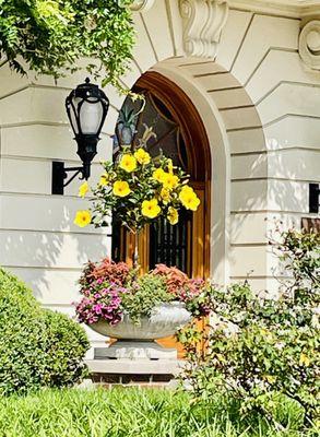 Beautiful flowers outside the building