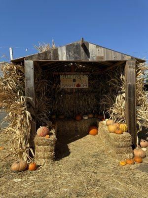 Booth photo area (as of 10.5.24)