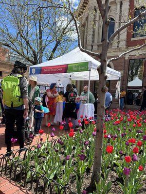 Tulips and booth