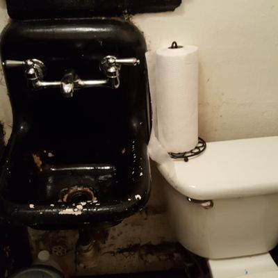 disgusting toilet