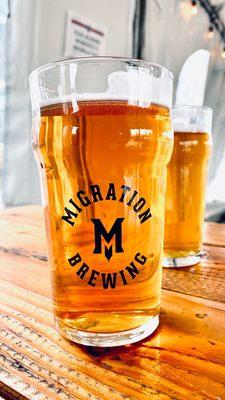 Migration Brewing