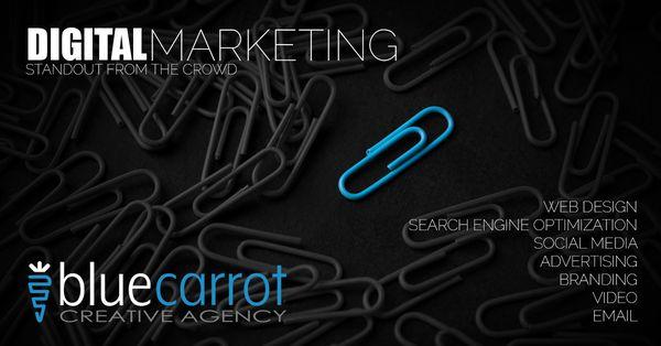 Blue Carrot Creative | Full-Service Digital Marketing for Small & Medium-Sized Local Businesses.