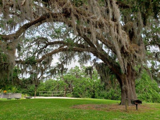 Acres of Green Space & Outdoor Grills.