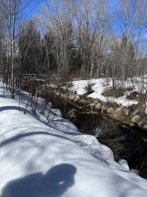 Roaring Forks river...or at least a fork of the river