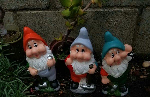 3 of 7 dwarfs for the garden. Only $1.50 each!