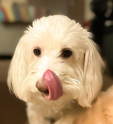 Mmmmm, it's eating time! You brought my favorite! Smart move!