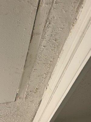 Mold and cracked ceiling