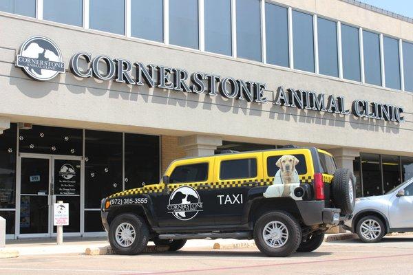 Ask us about our pet taxi service!