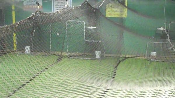 Our facility has 5 cages. Use with machines or without