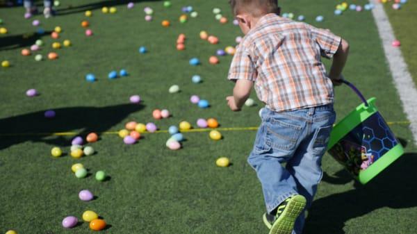 Liberty Church had a huge Easter Egg Hunt for the community. There were 20k Easter Eggs at Fairfield High School.