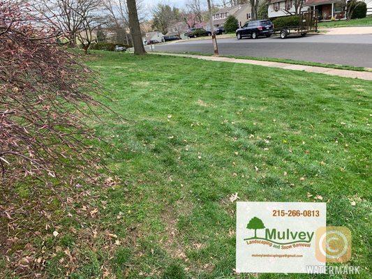 Is the perfect time to sign up for 2020 mowing