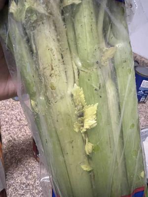 Filthy celery