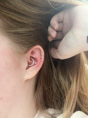 Daith & conch piercing