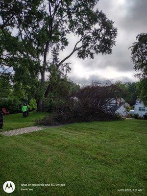 Brandywine Tree And Shrub