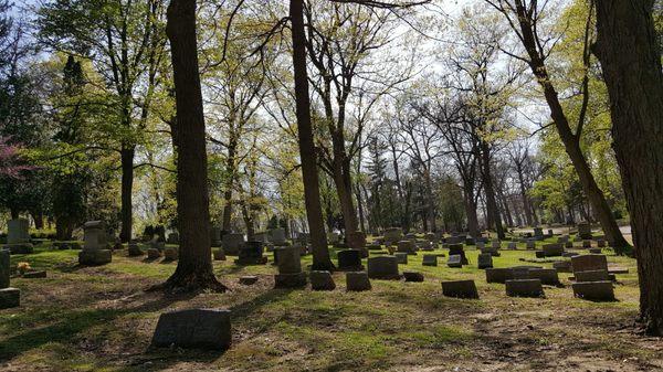 Forest Hill Cemetery