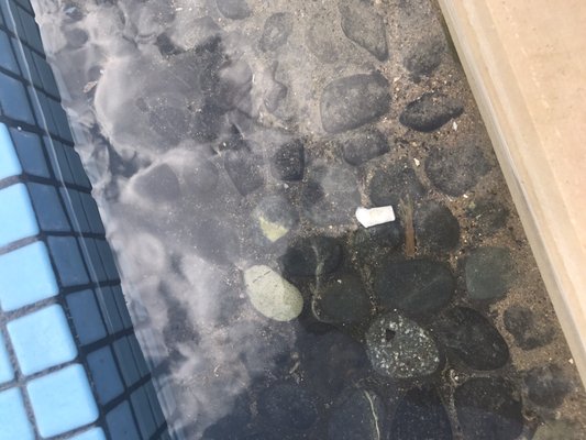 Cigarette butt in the pool, no security--people are always smoking.