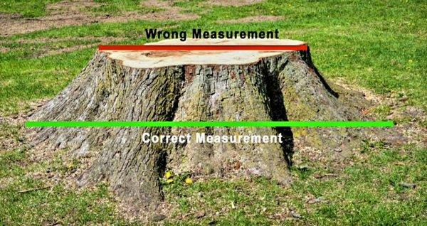 For a single stump to be ground we charge only $3.50 per inch at the stumps widest point. Each additional stump will cost much less.