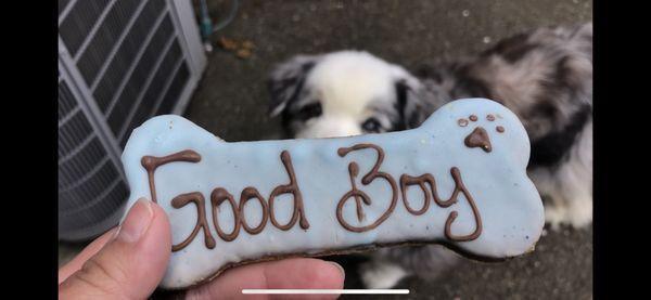 A "good boy" cookie from the Barkery