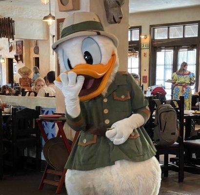 Donald Duck in the Tusker House Restaurant at Disney's Animal Kingdom Theme Park.