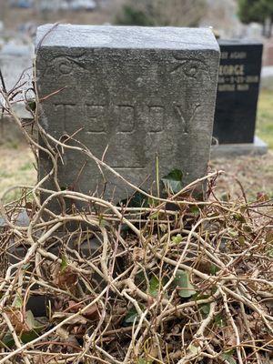 Hartsdale Pet Cemetery