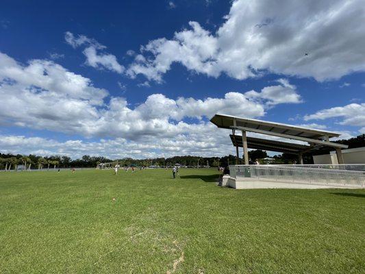 Carrollwood Village Park w Skateboarding, Splash Pad, Playground, nature trail, ping pong, checkers, Carrollwood, off Ehrlich, North Tampa