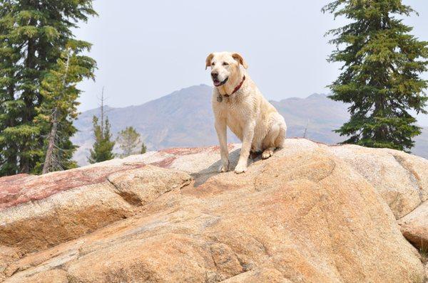 Sierra hiking in the Sierras