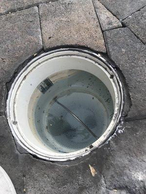 Skimmer collapses if you accidentally step over the lid