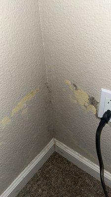 Mold damage