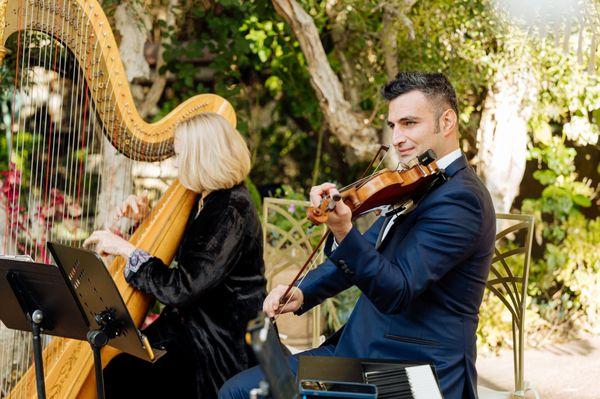 Violin & Harp Duo - Wedding Musicians in Los Angeles