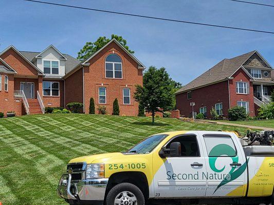 Second Nature Lawn Care